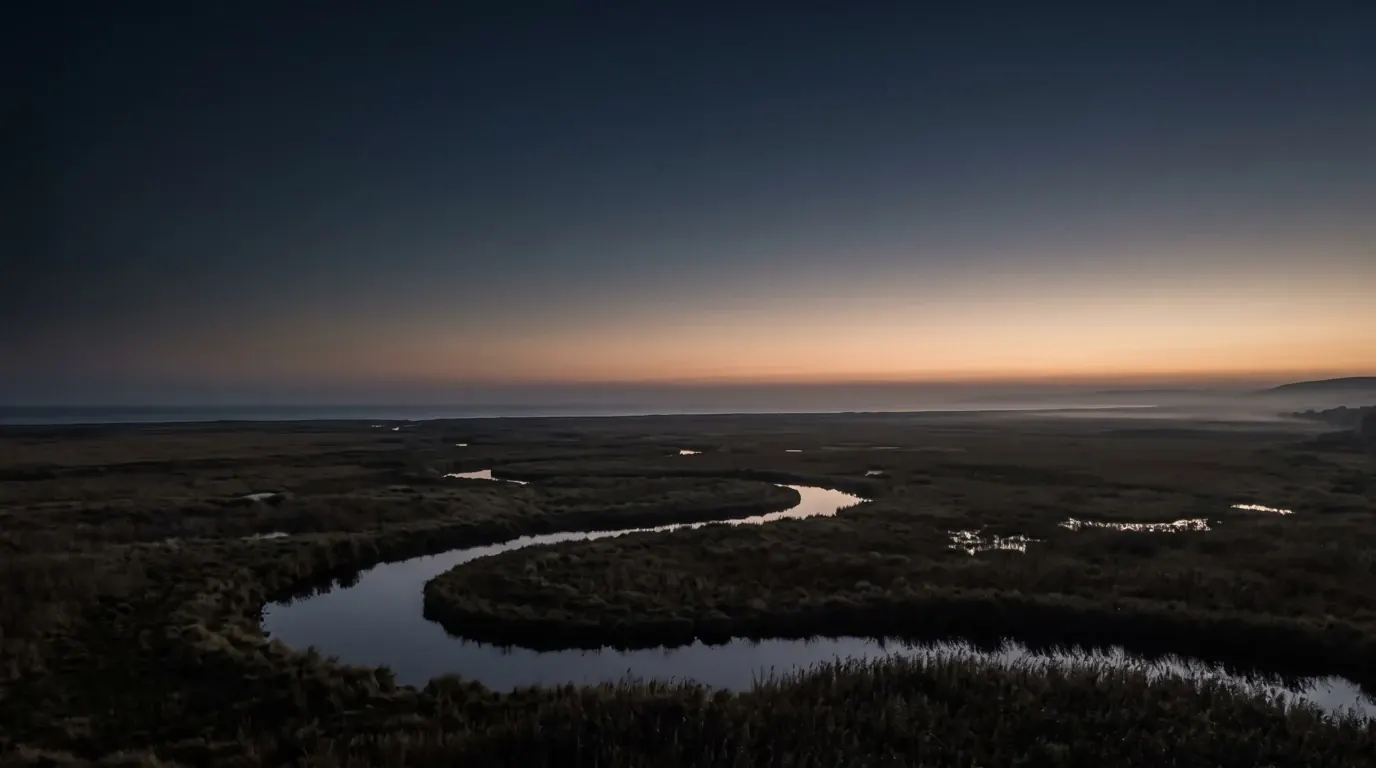 A river meandering through open reed marshes toward the sea.