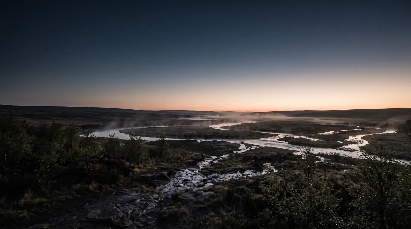 Morning mist rising from watered ground among young trees, a river dividing in the first light.