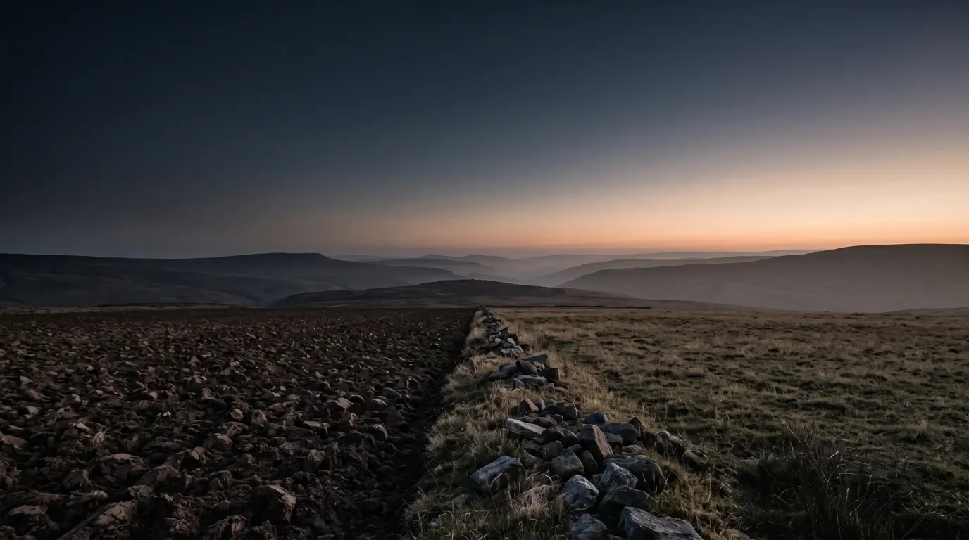 A tilled dark field beside an open pasture, a low line of fieldstones between them.