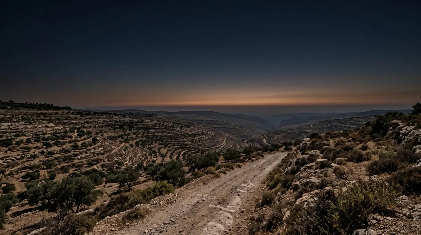 A dusty track descending through terraced limestone slopes of olive and scrub toward the hazy lowland.