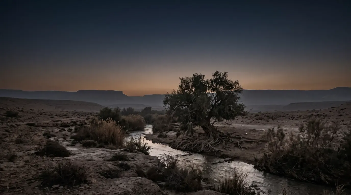 A leafy tree rooted beside a stream in dry country.