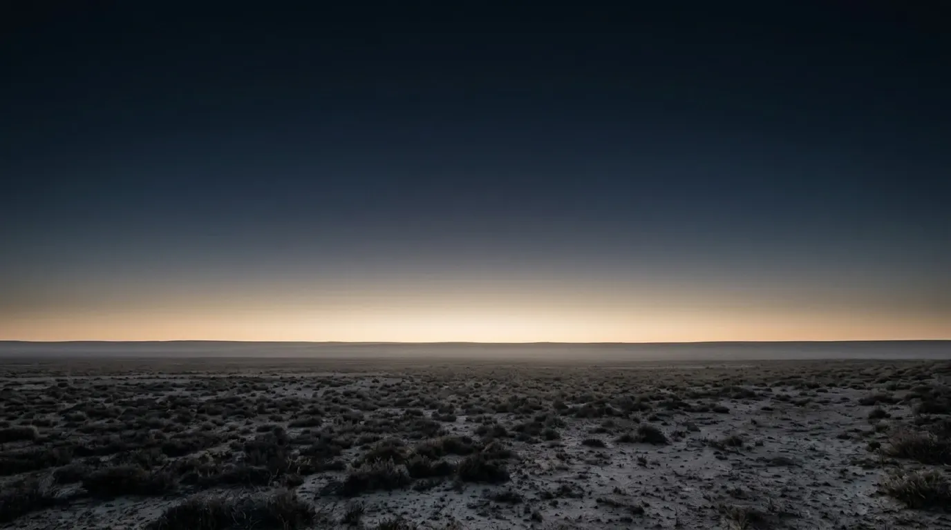 A wide open dry plain in the hour before dawn, low scrub running flat to a far unbroken horizon.