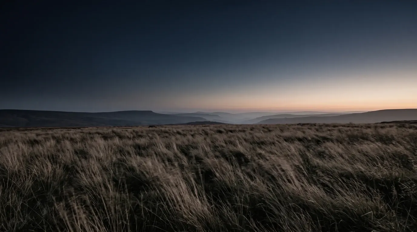 Night wind moving through tall dry grasses under a deep quiet sky, the whole field bending in one direction.