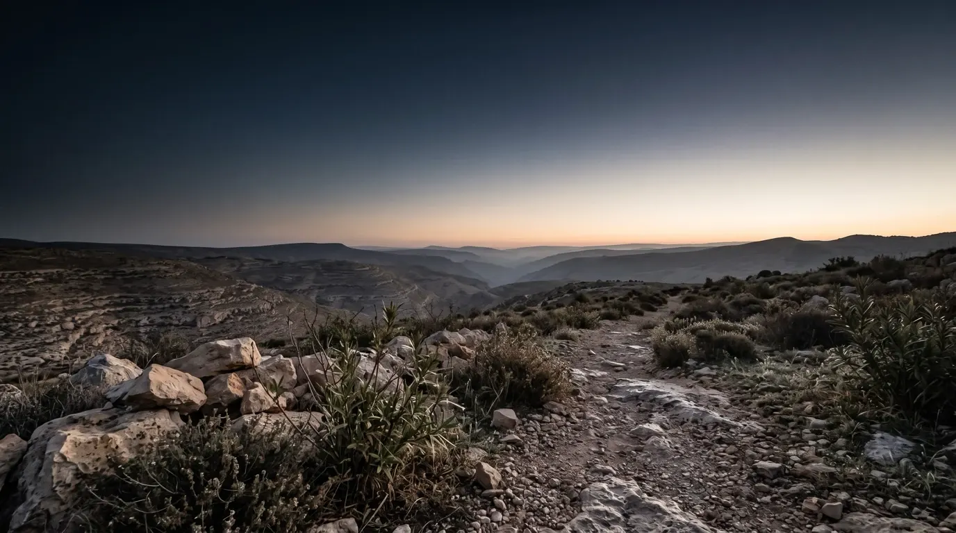The hills around the city as morning comes, dew on the stones of a path.