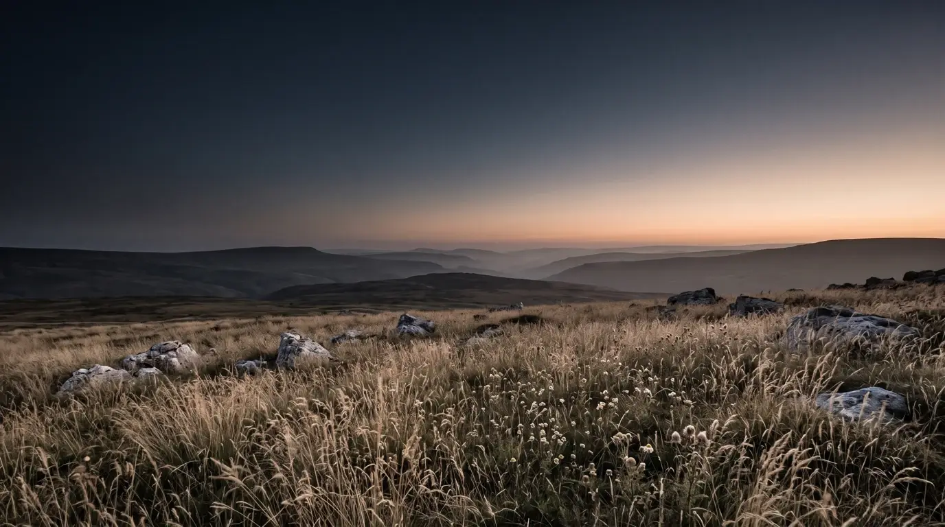 An open hillside of dry pale grass with small wild flowers standing among it.
