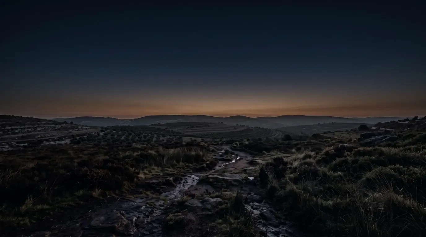 Low rolling hills of olive groves and scrub in the lowland of Judah, a stream running through the foreground.
