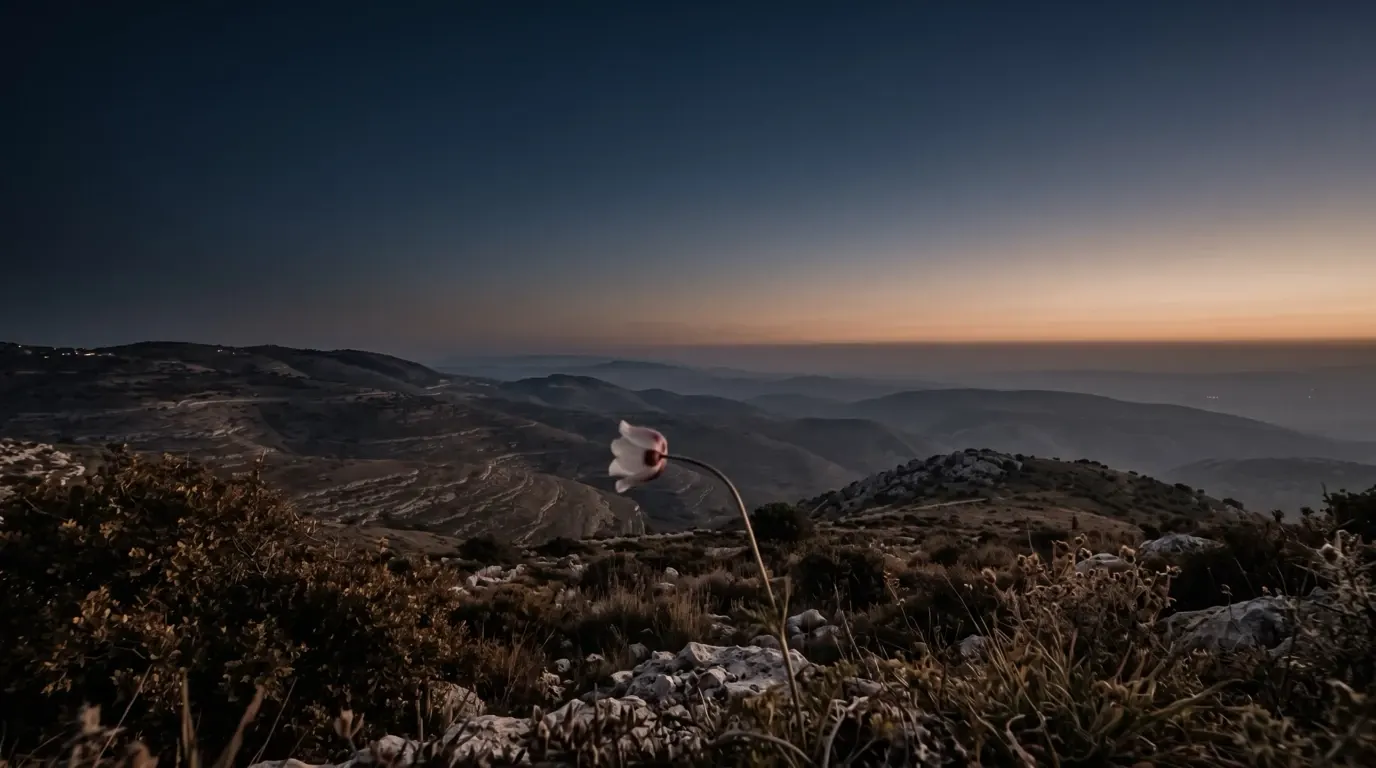 A single wildflower bending in the wind above wide hills.