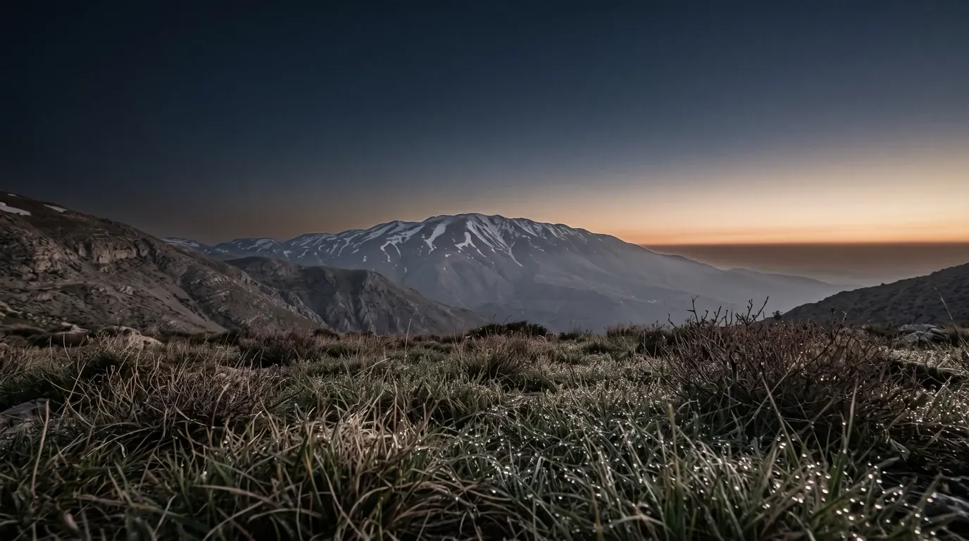 Dew on the grass of the high slopes, a great snow-streaked mountain beyond.