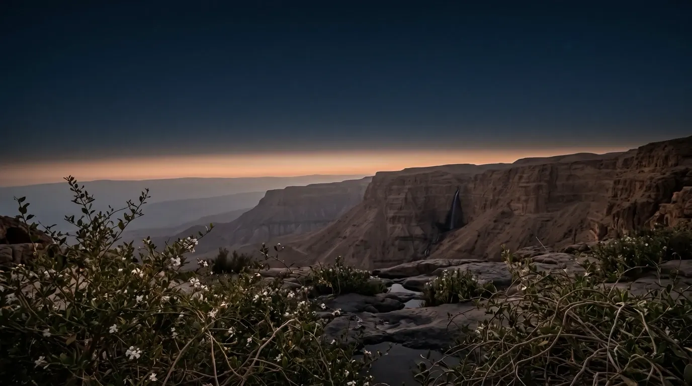 Flowering henna and trailing vines on a ledge above a desert gorge, a thin waterfall in the cliffs beyond.