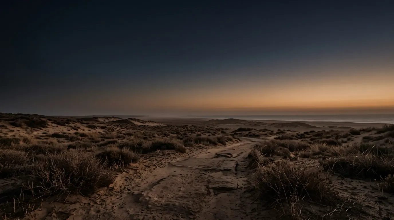 Low dunes and scrub on a coastal sand plain between the desert and the sea.