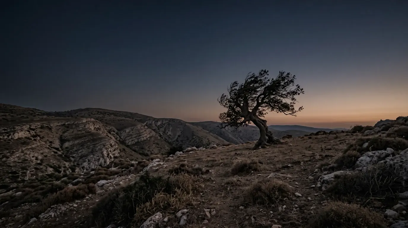 A lone old oak standing firm in the wind on a bare hillside.